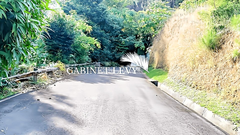 A VENDRE 4 HECTARES PUNAAUIA TAHITI 