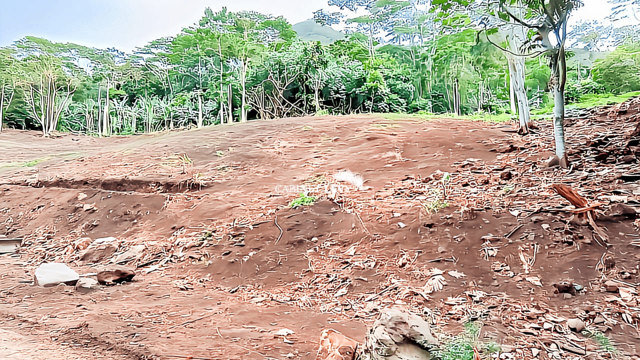 Terrain Constructible de 1600m² à Vendre à Maatea, Moorea - Lot C