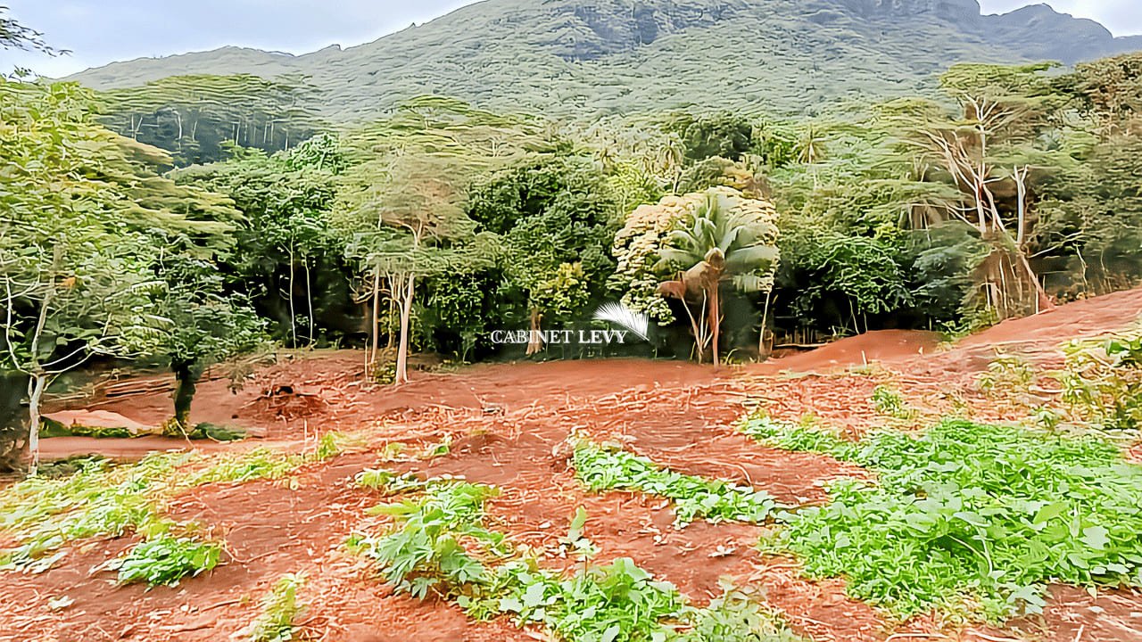 Terrain Constructible de 1600m² à Vendre à Maatea, Moorea - Lot C