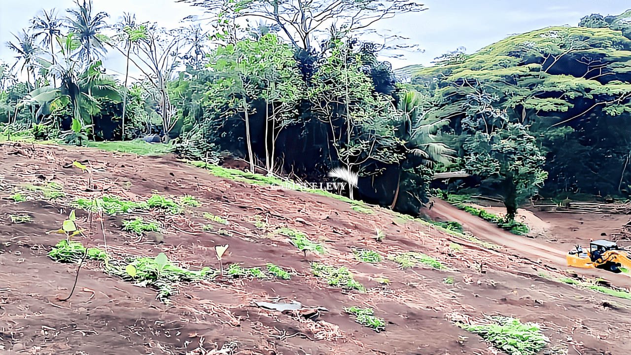 Terrain Constructible de 1600m² à Vendre à Maatea, Moorea - Lot C