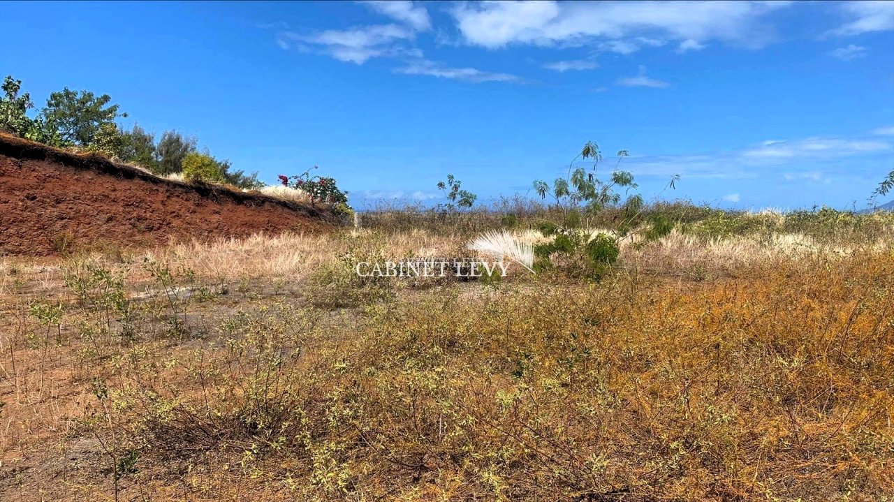 À Vendre : Magnifique Terrain de 1900 m² à Punaauia