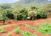 Terrain Constructible de 1600m² à Vendre à Maatea, Moorea - Lot C