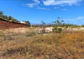 À Vendre : Magnifique Terrain de 1900 m² à Punaauia