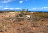 À Vendre : Magnifique Terrain de 1900 m² à Punaauia