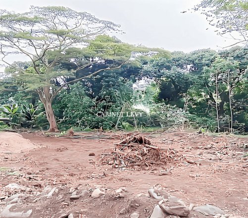 Terrain Plat de 1136 m² à Vendre à Maatea, Moorea (LOT A)