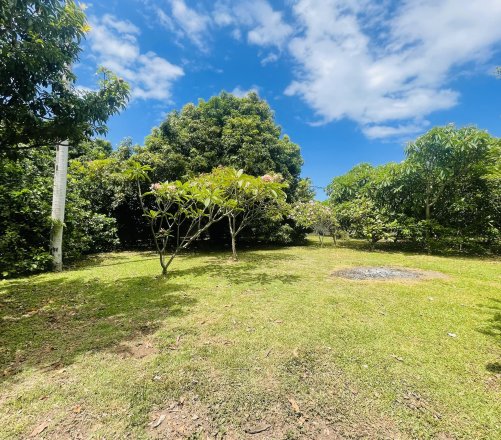 TERRAIN PLAT À PUNAAUIA – PROCHE DU BORD DE MER – BAIL EMPHYTÉOTIQUE (99 ANS)