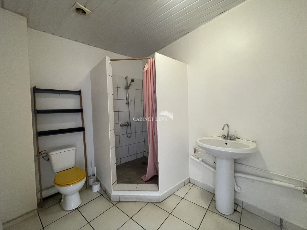 Salle d'eau (douche et WC)