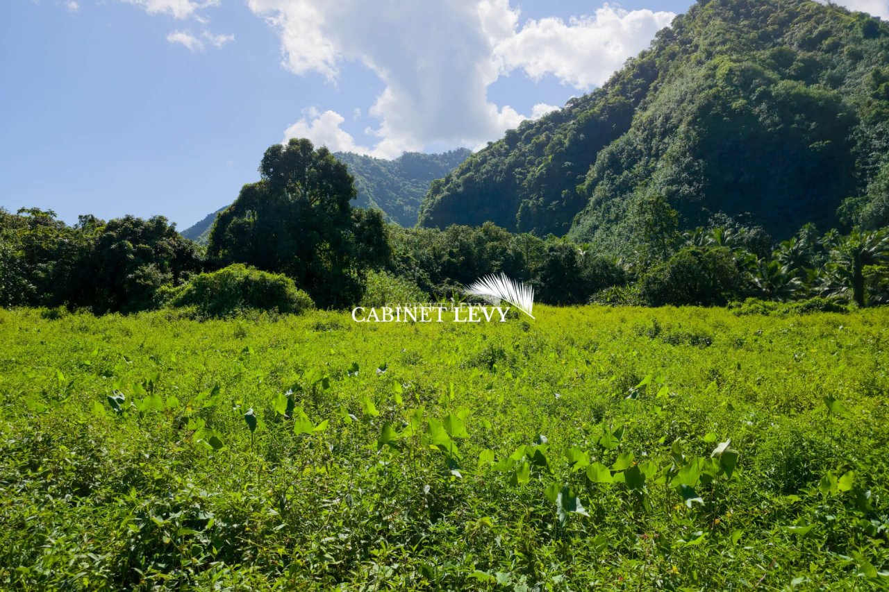Teahupoo à vendre : magnifique terrain de 5000 m² au Fenua Aihere