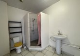 Salle d'eau (douche et WC)