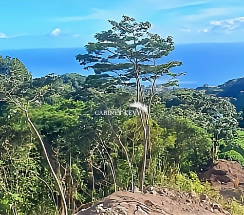 A vendre terrain de 5000M2 dans les hauteurs à Arue (Après ERIMA)