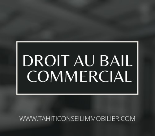 À SAISIR ! FONDS DE COMMERCE – SALON DE MASSAGE À PIRAE