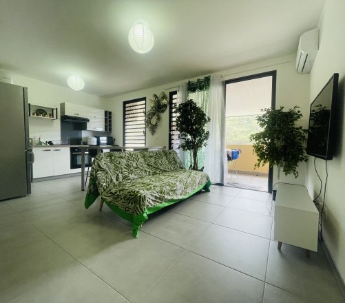 À LOUER APPARTEMENT NEUF T2 MEUBLÉ - PISCINE &amp; VUE MER À TIPAERUI