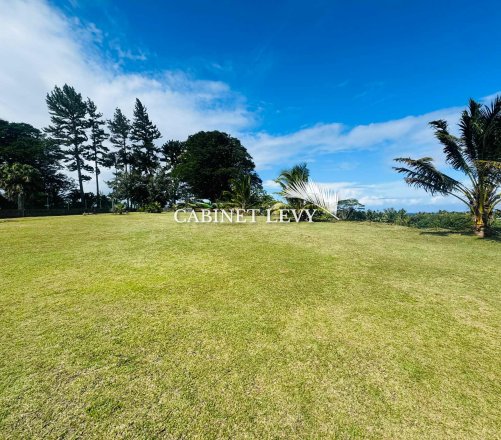 A vendre magnifique terrain 1300m2 TAIARAPU EST Afaahiti